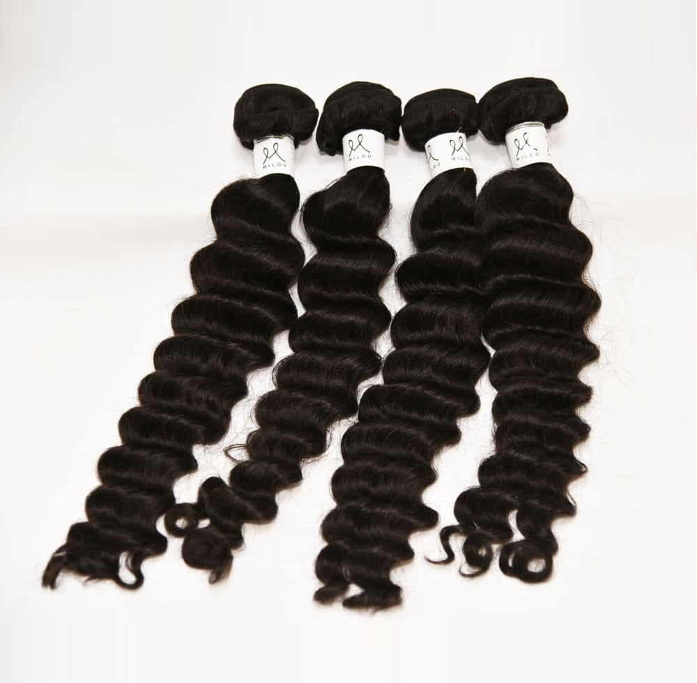 Milou Burmese Curly - Bundle Deal